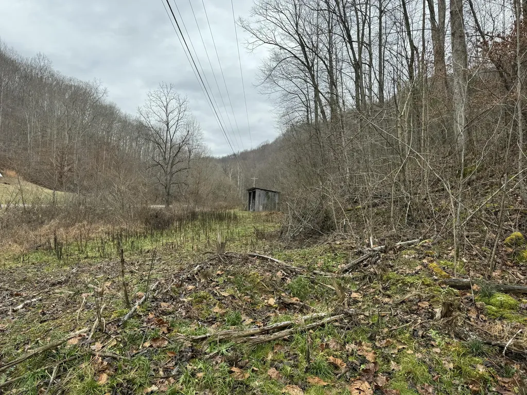 0 Hinkle Paynes Creek 215/253 Hinkle KY 40953
