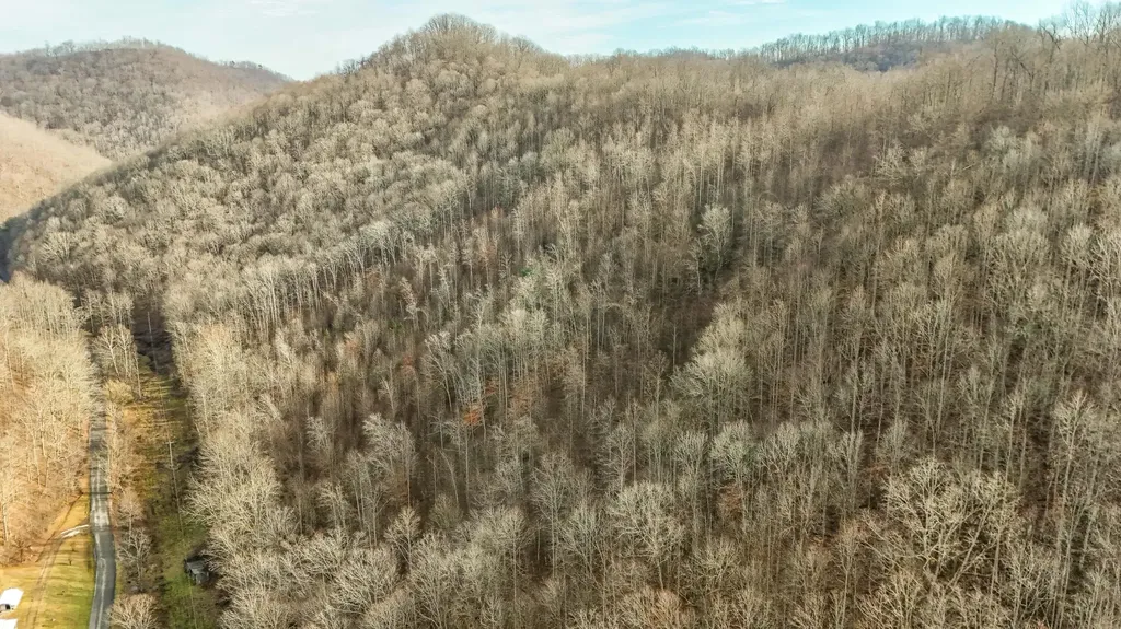 0 Hinkle Paynes Creek 215/253 Hinkle KY 40953