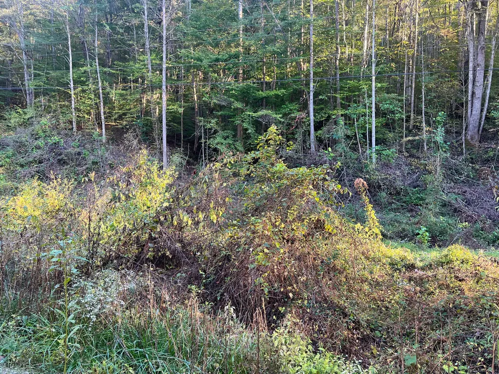 0 Hinkle Paynes Creek 215/253 Hinkle KY 40953