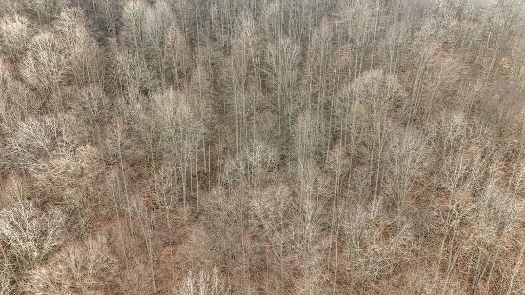 0 Hinkle Paynes Creek 215/253 Hinkle KY 40953