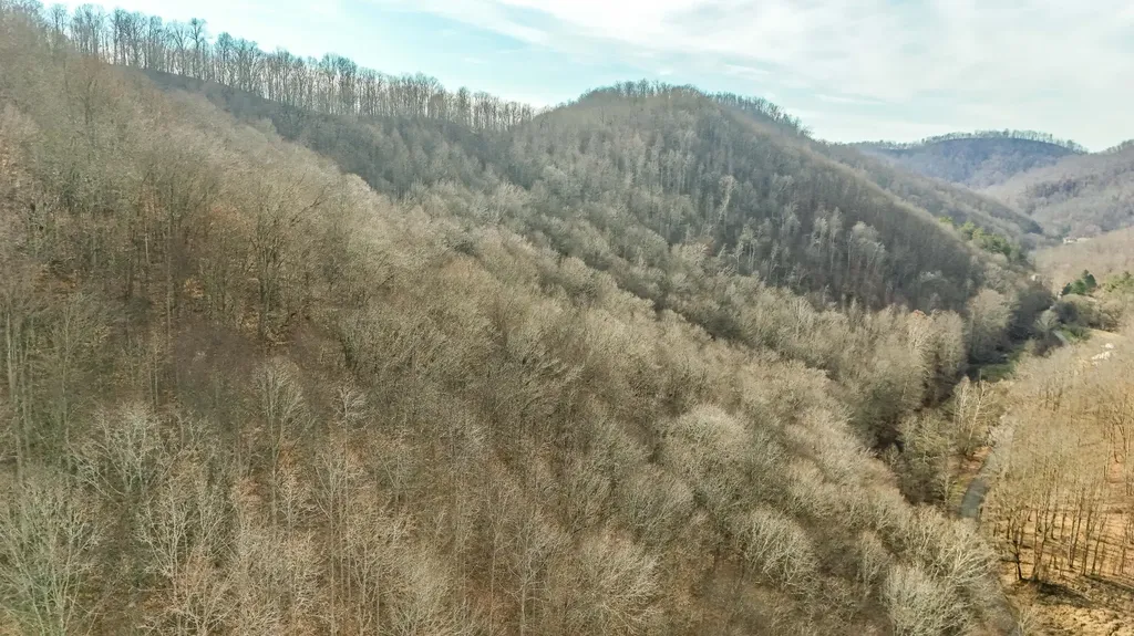 0 Hinkle Paynes Creek 215/253 Hinkle KY 40953