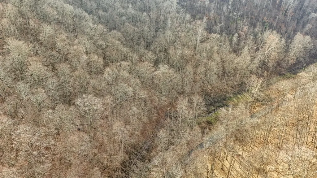 0 Hinkle Paynes Creek 215/253 Hinkle KY 40953