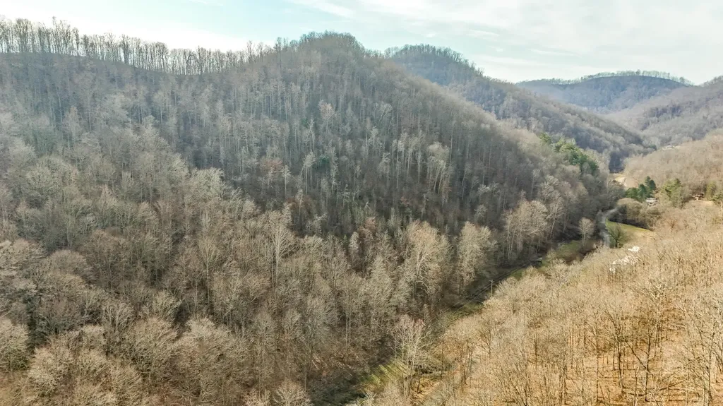 0 Hinkle Paynes Creek 215/253 Hinkle KY 40953
