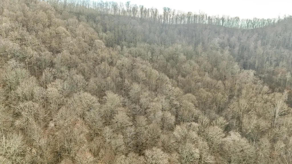 0 Hinkle Paynes Creek 215/253 Hinkle KY 40953