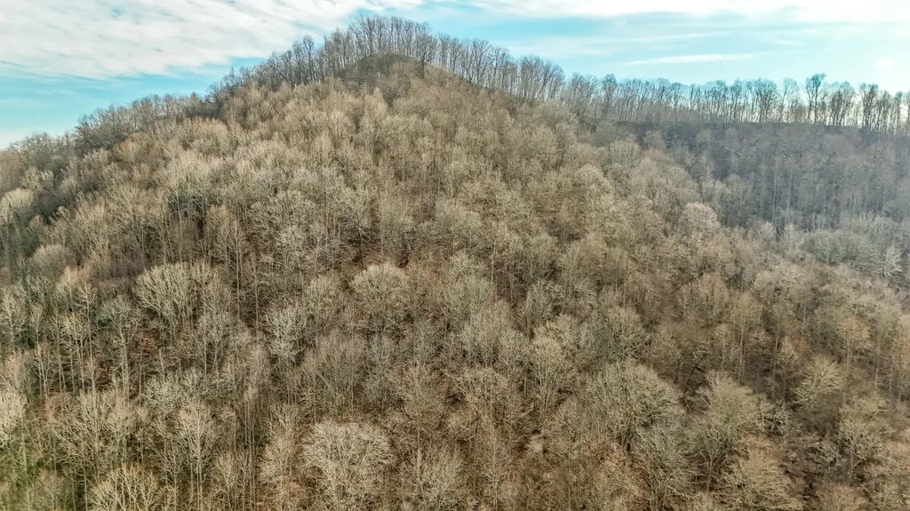 0 Hinkle Paynes Creek 215/253 Hinkle KY 40953