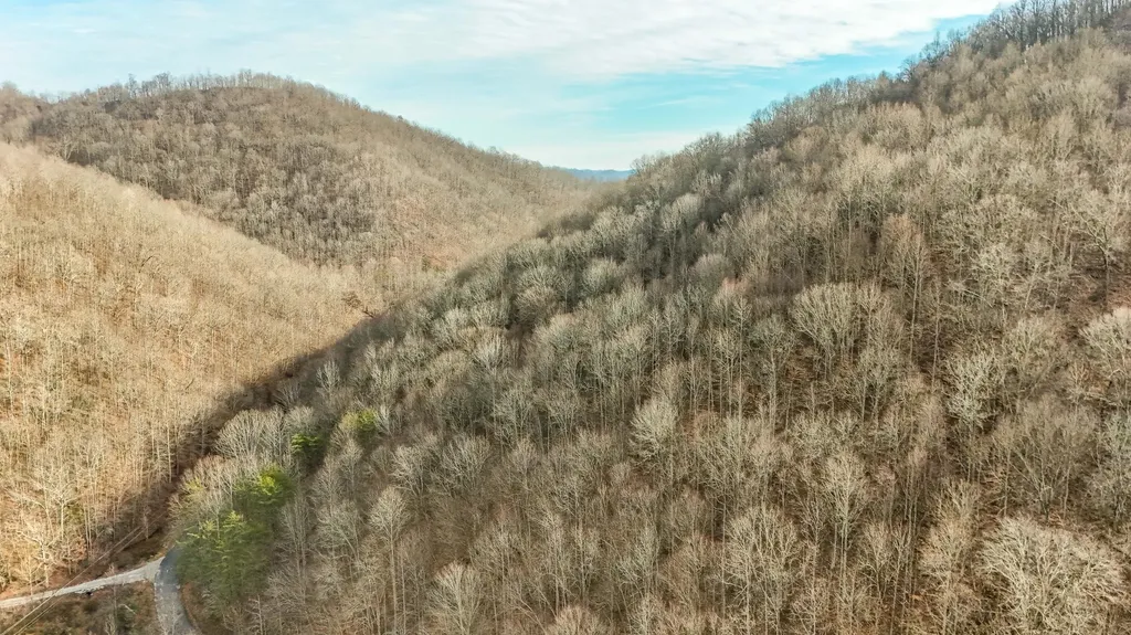 0 Hinkle Paynes Creek 215/253 Hinkle KY 40953