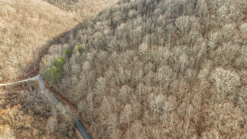 0 Hinkle Paynes Creek 215/253 Hinkle KY 40953