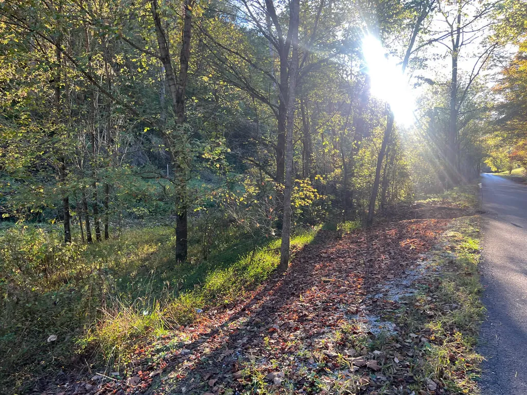 0 Hinkle Paynes Creek 215/253 Hinkle KY 40953