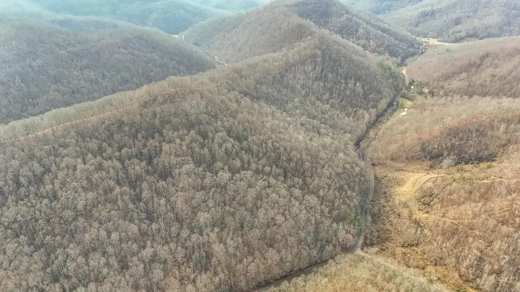 0 Hinkle Paynes Creek 215/253 Hinkle KY 40953