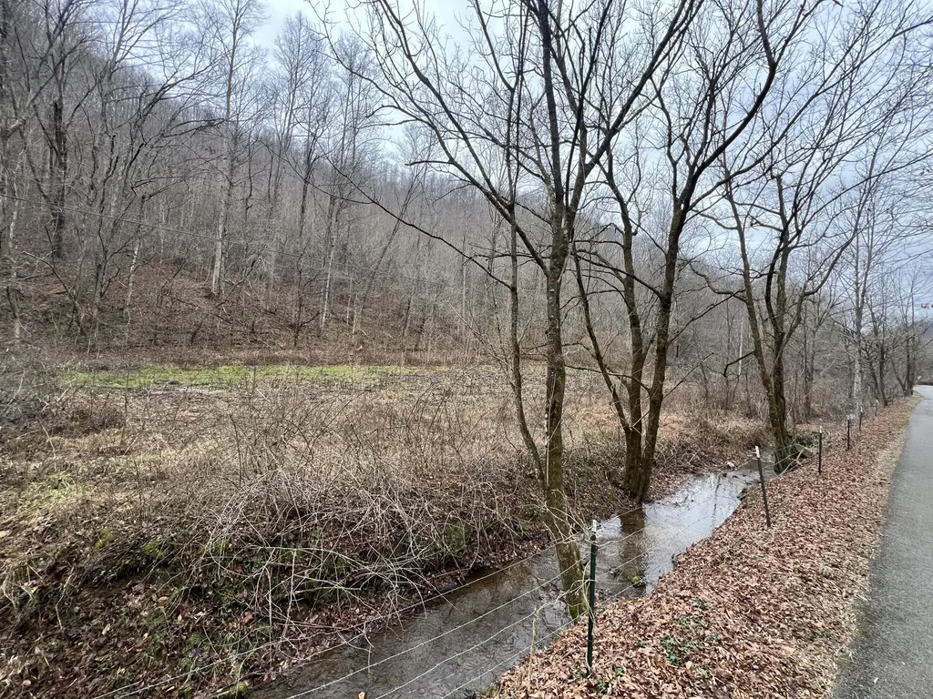 0 Hinkle Paynes Creek 215/253 Hinkle KY 40953