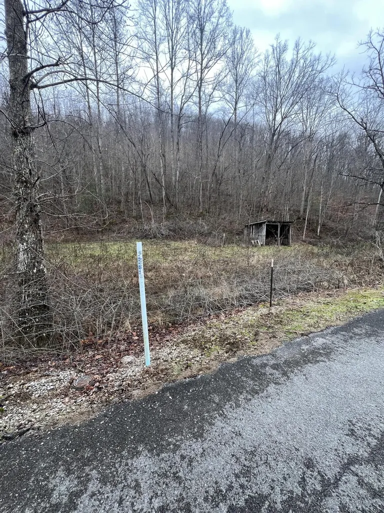 0 Hinkle Paynes Creek 215/253 Hinkle KY 40953
