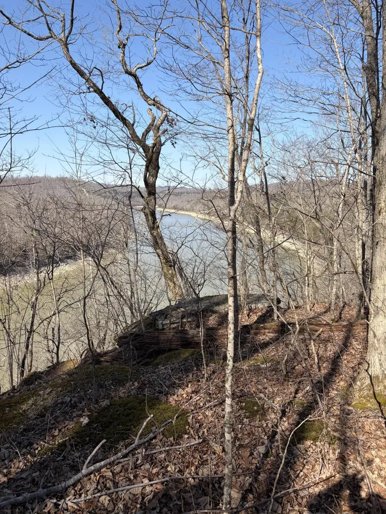 1901 Dixie Bend Road Burnside KY 42519