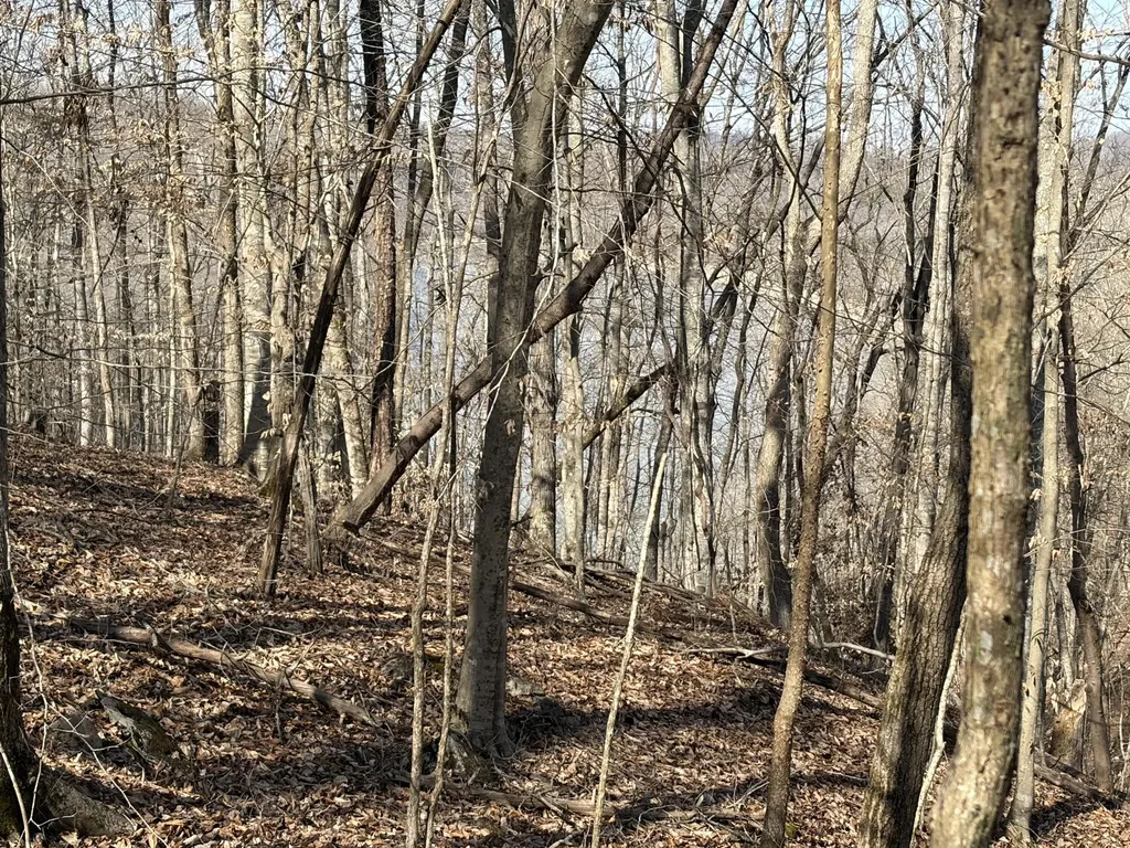 1901 Dixie Bend Road Burnside KY 42519