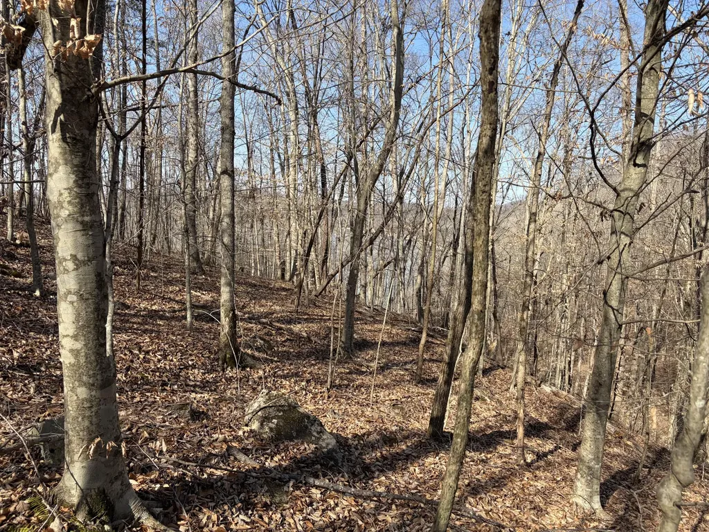 1901 Dixie Bend Road Burnside KY 42519