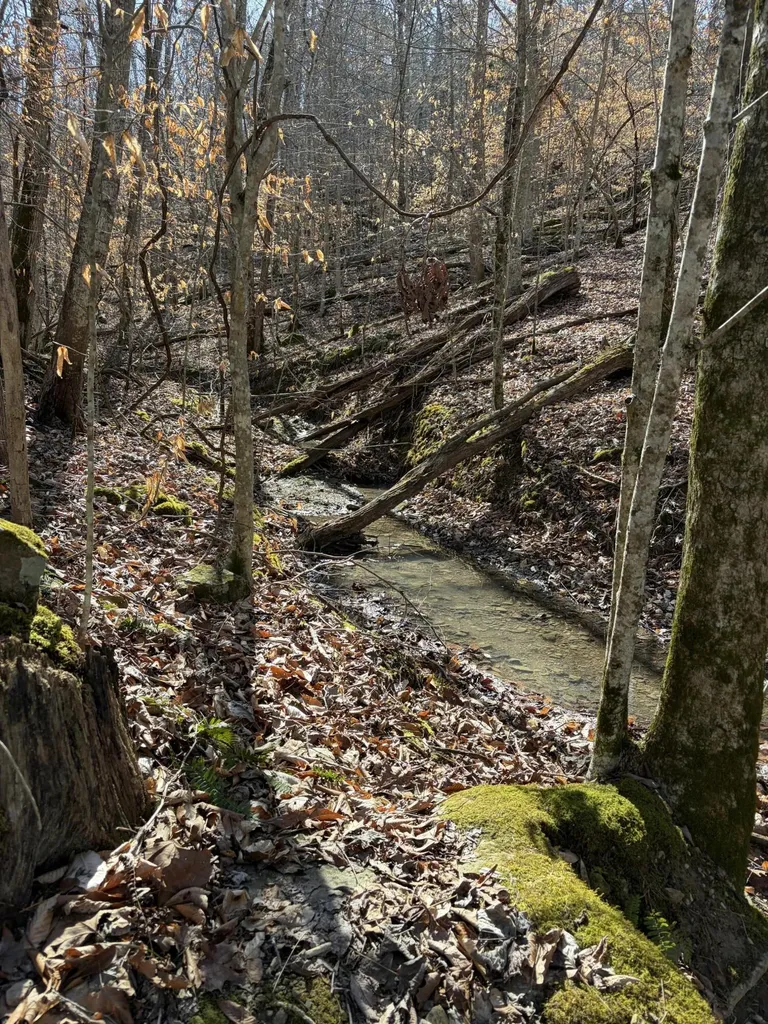 1901 Dixie Bend Road Burnside KY 42519