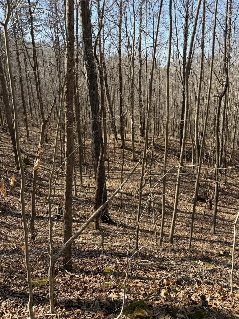 1901 Dixie Bend Road Burnside KY 42519