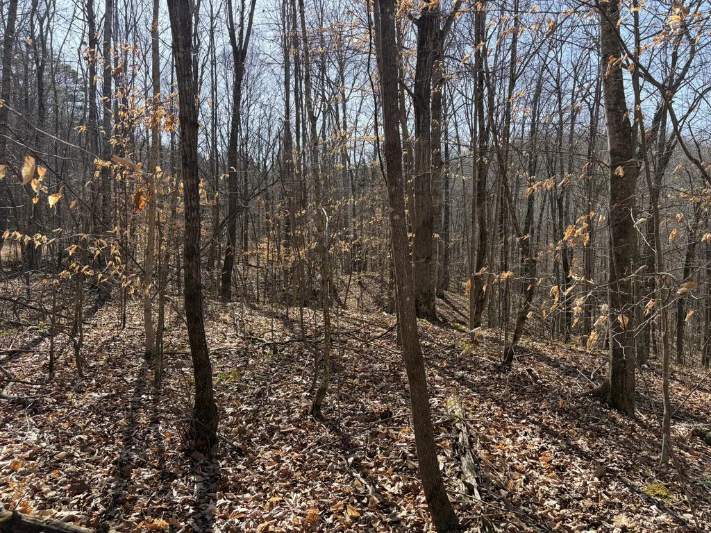 1901 Dixie Bend Road Burnside KY 42519