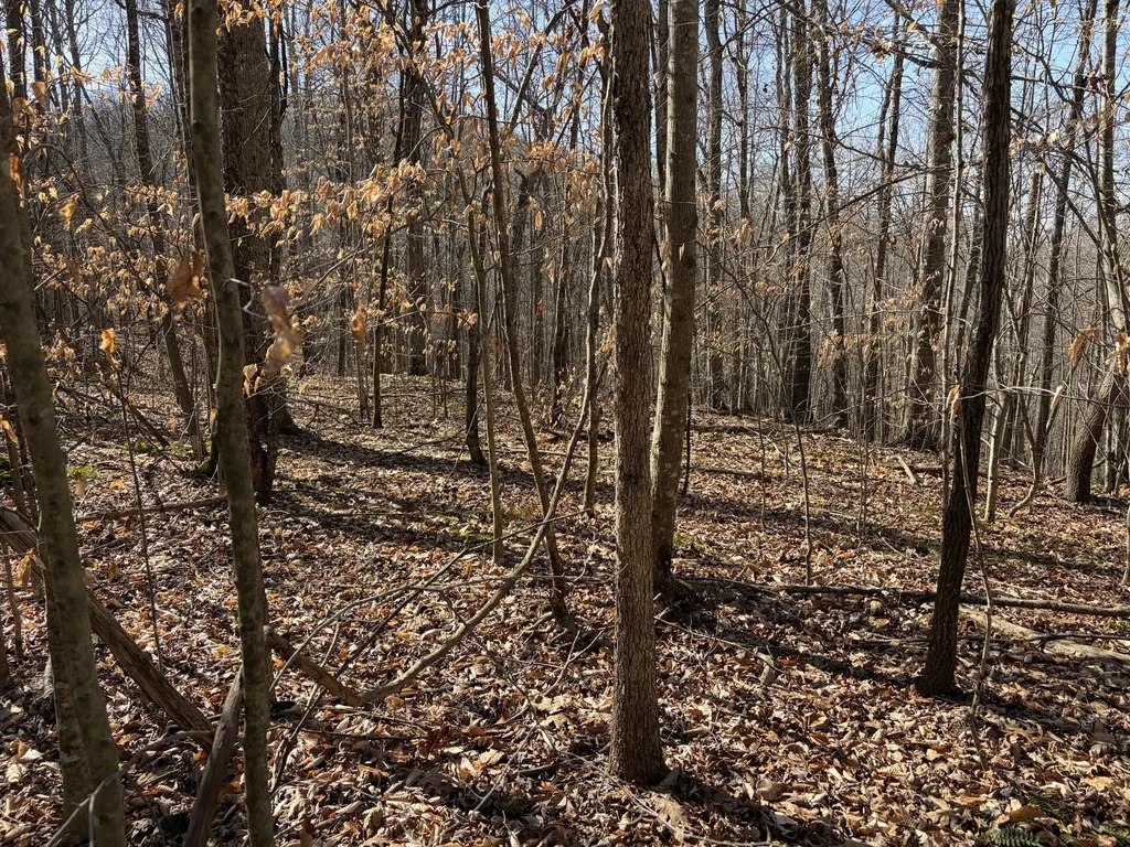 1901 Dixie Bend Road Burnside KY 42519