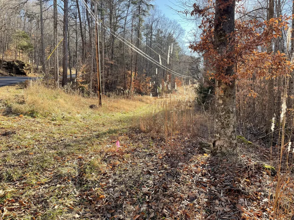 1901 Dixie Bend Road Burnside KY 42519