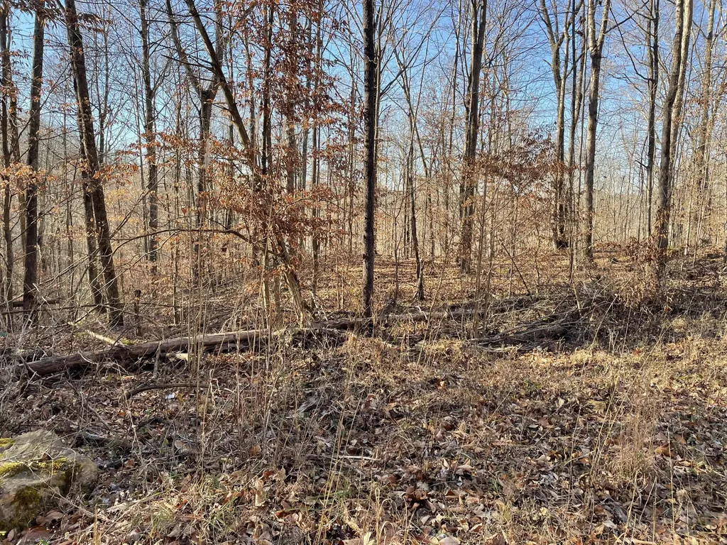 1901 Dixie Bend Road Burnside KY 42519