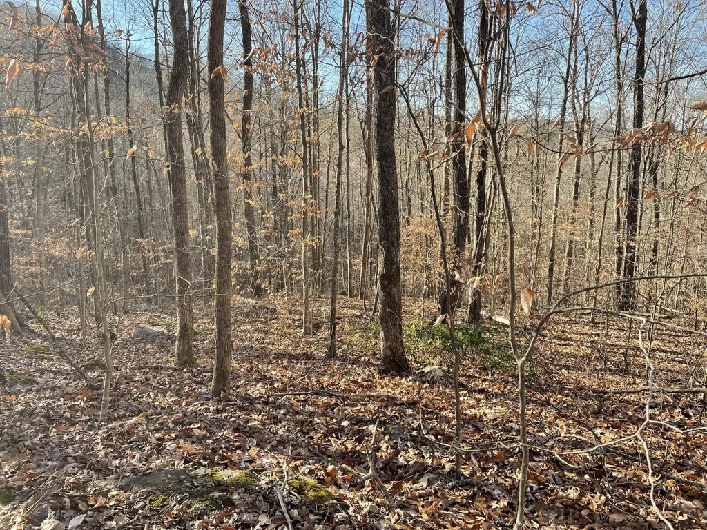 1901 Dixie Bend Road Burnside KY 42519