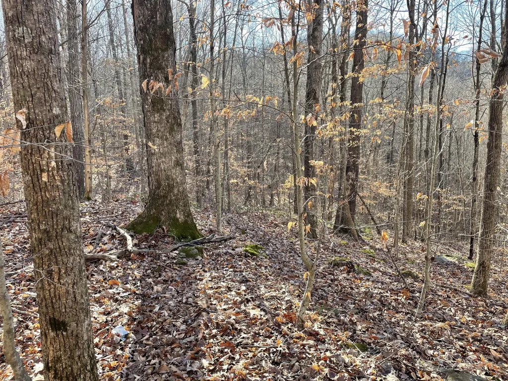1901 Dixie Bend Road Burnside KY 42519
