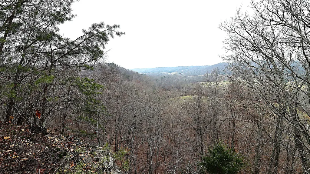 4065 Copper Creek Road Crab Orchard KY 40419
