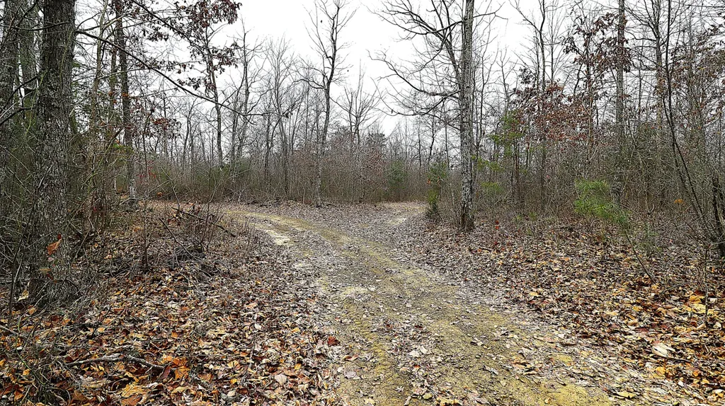 4065 Copper Creek Road Crab Orchard KY 40419