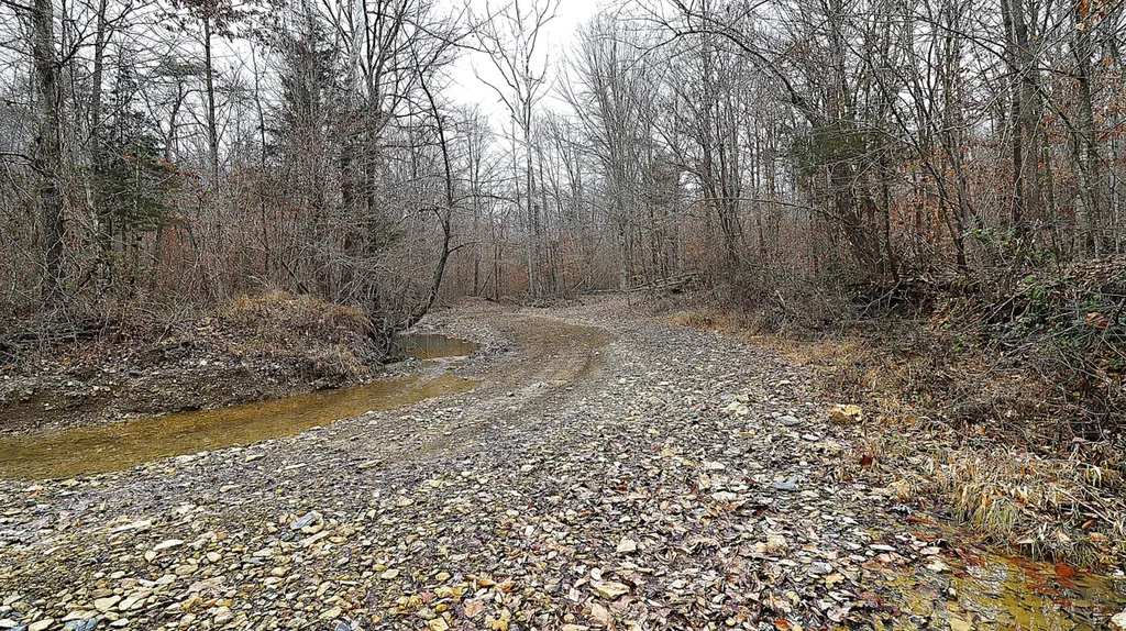 4065 Copper Creek Road Crab Orchard KY 40419