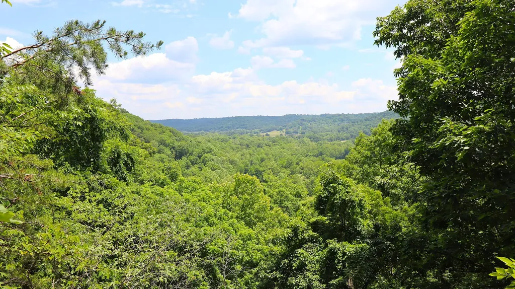 4065 Copper Creek Road Crab Orchard KY 40419