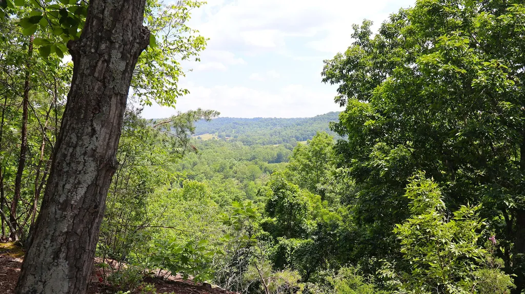 4065 Copper Creek Road Crab Orchard KY 40419