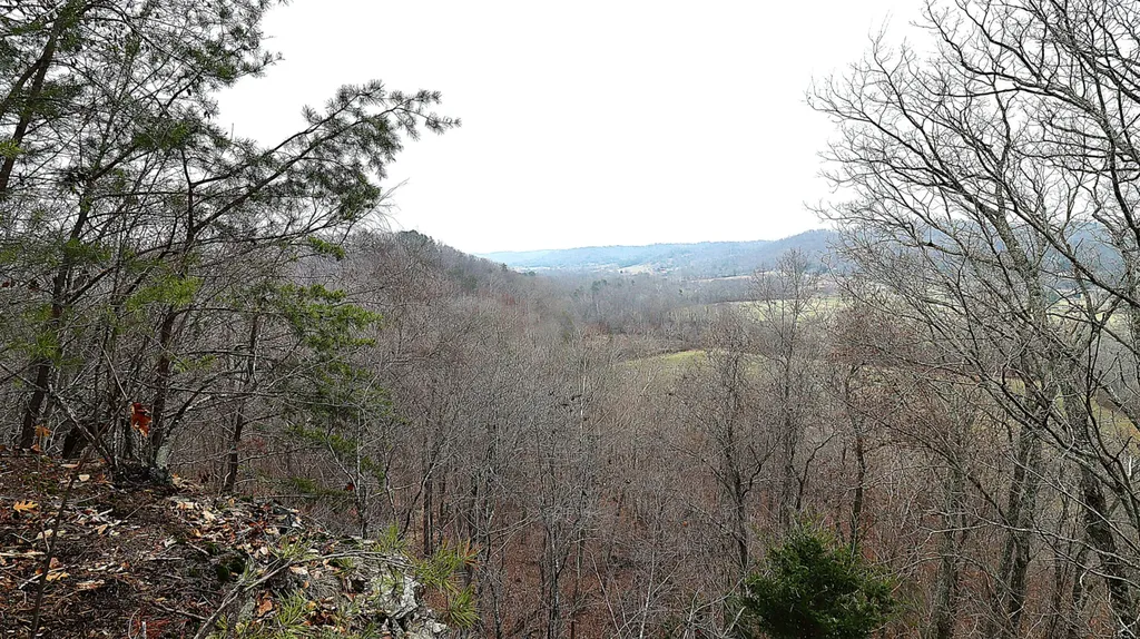 4065 Copper Creek Road Crab Orchard KY 40419