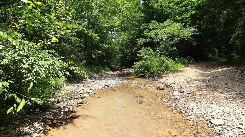 4065 Copper Creek Road Crab Orchard KY 40419