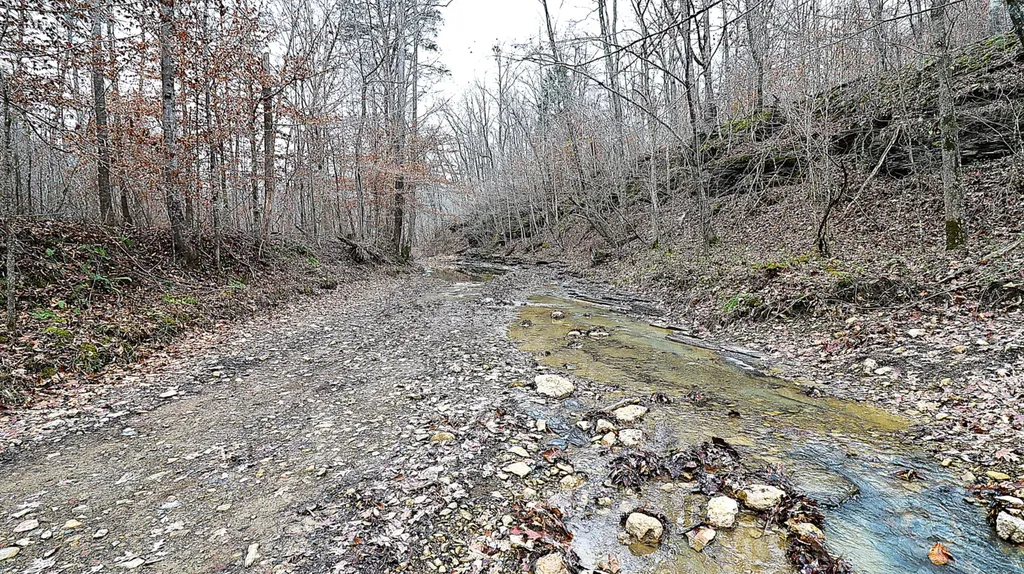 4065 Copper Creek Road Crab Orchard KY 40419