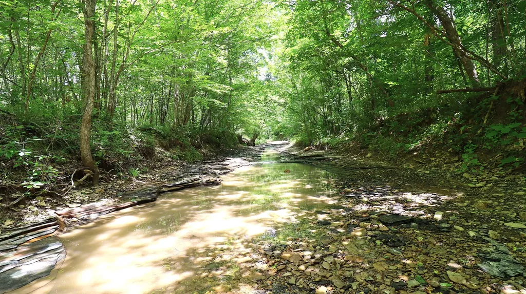 4065 Copper Creek Road Crab Orchard KY 40419
