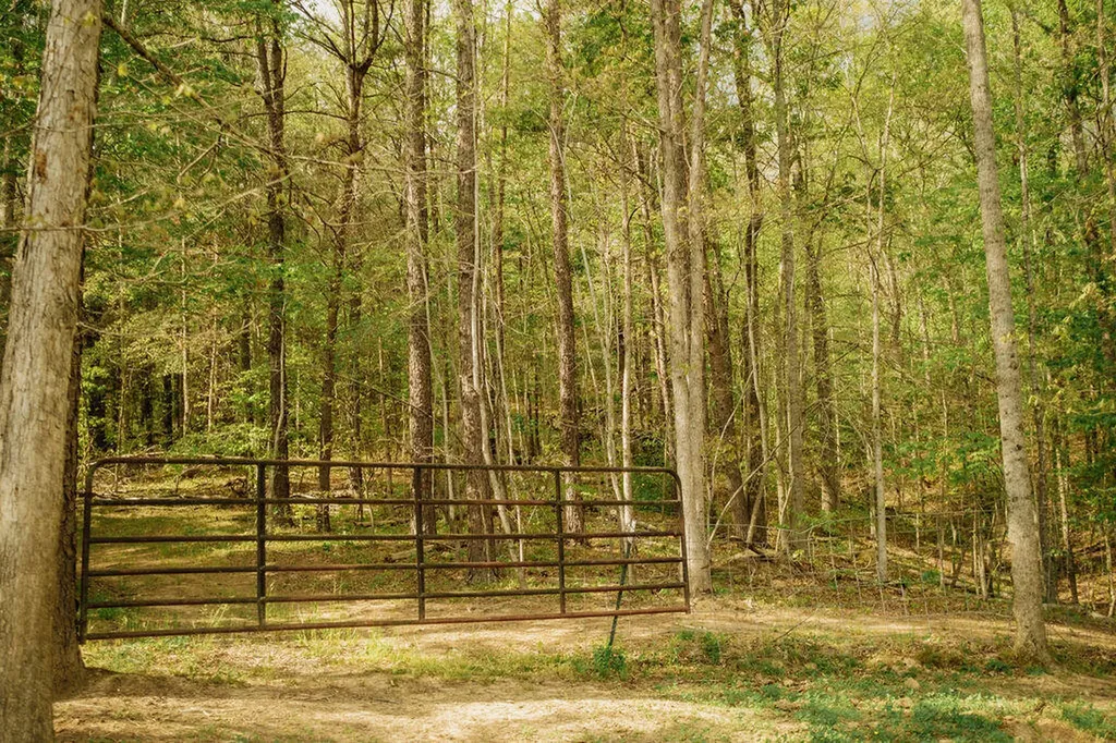 1124 State Highway 844 West Liberty KY 41472
