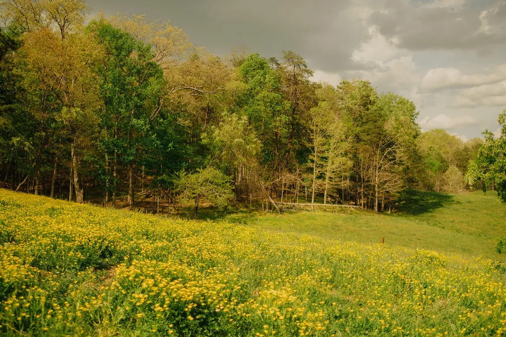 1124 State Highway 844 West Liberty KY 41472