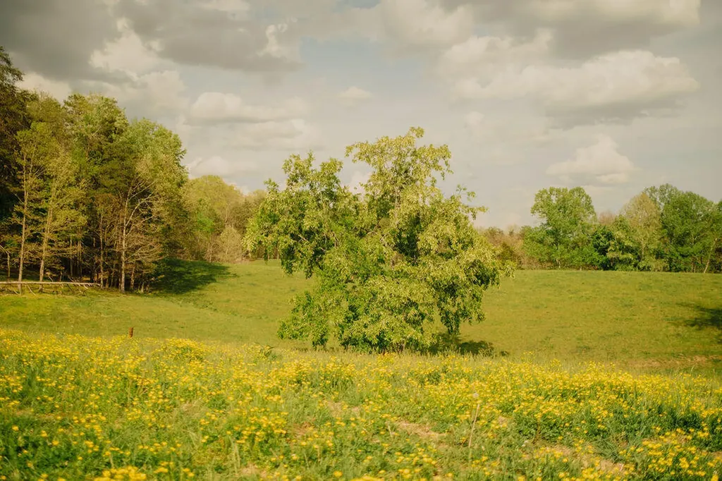 1124 State Highway 844 West Liberty KY 41472