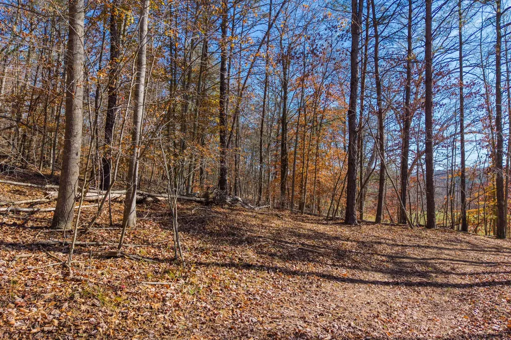 1124 State Highway 844 West Liberty KY 41472