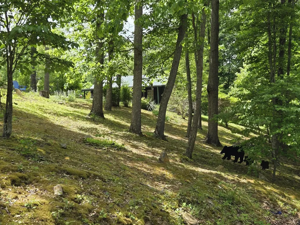1435 Pilot Road Stanton KY 40380