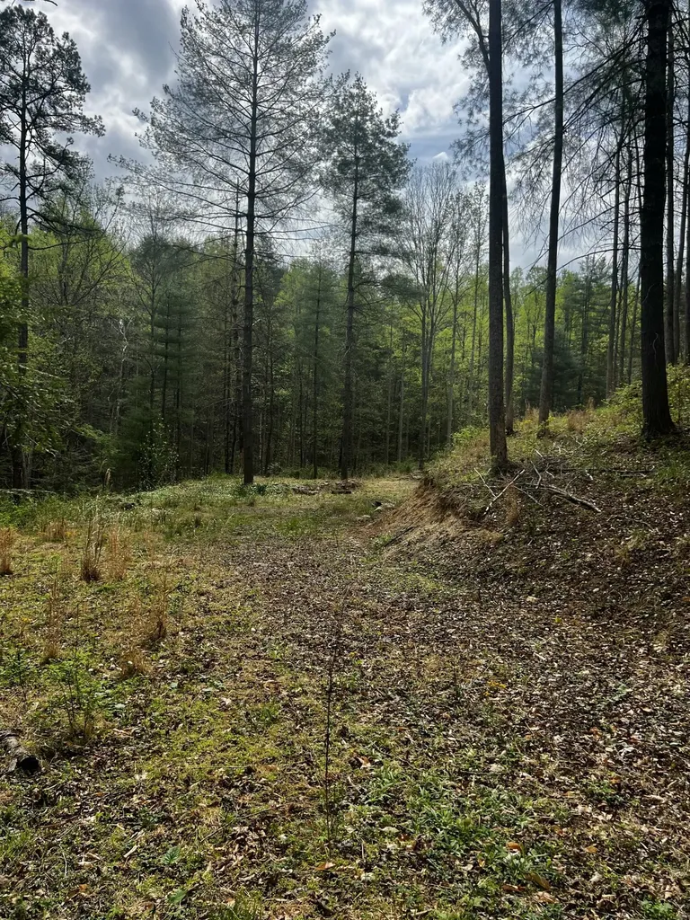 Lot 105 Sunset Valley Campton KY 41301