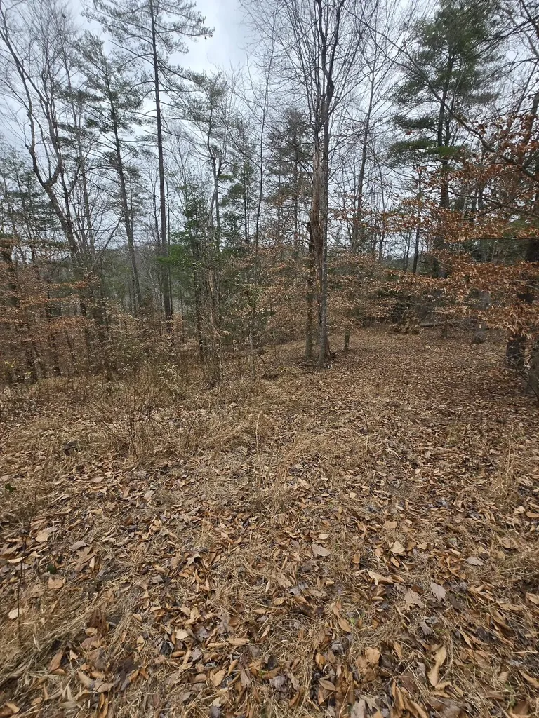 Lot 106 Sunset Valley Campton KY 41301