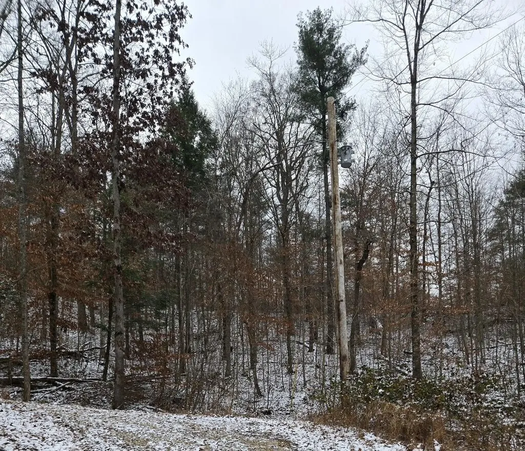 Lot 106 Sunset Valley Campton KY 41301