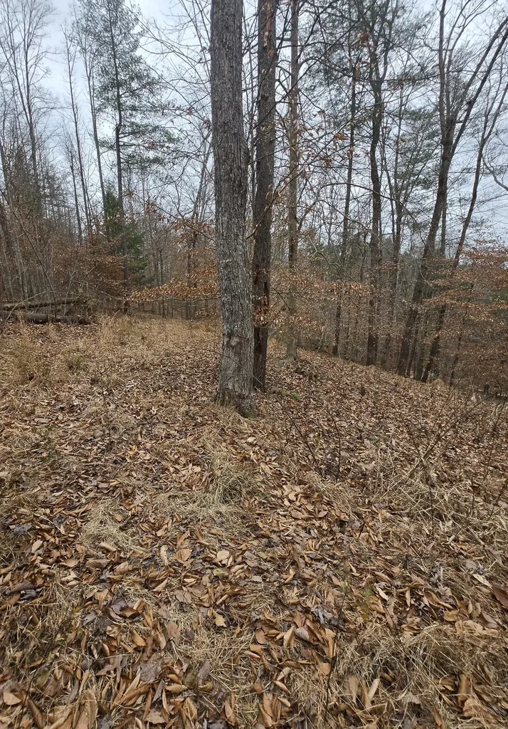 Lot 106 Sunset Valley Campton KY 41301