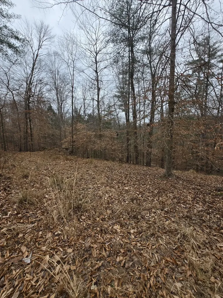 Lot 106 Sunset Valley Campton KY 41301