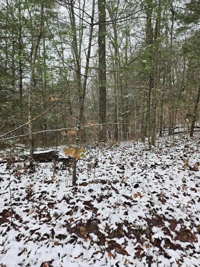 Lot 31 Sunset Ridge Campton KY 41301