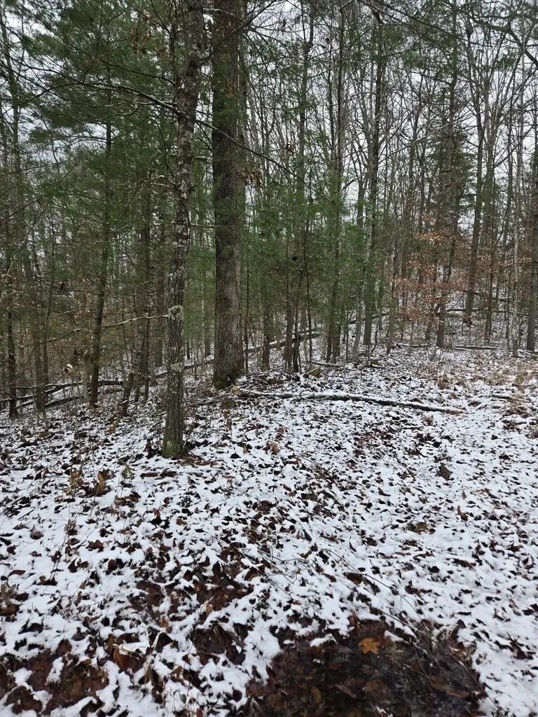 Lot 31 Sunset Ridge Campton KY 41301