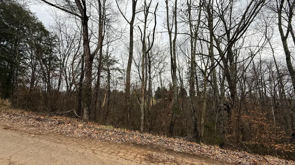 1915 Ky-1247 Somerset KY 42503