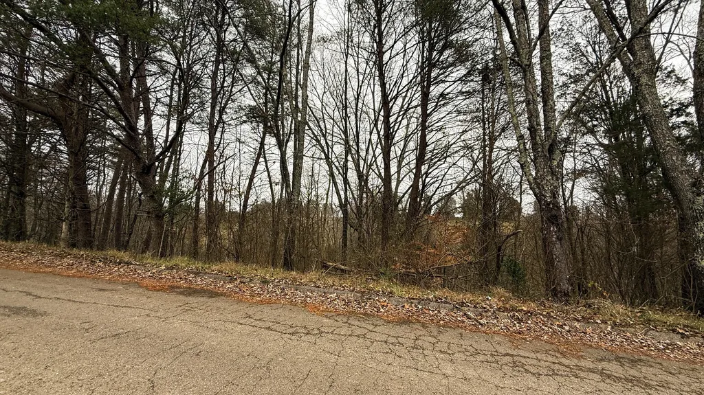 1915 Ky-1247 Somerset KY 42503