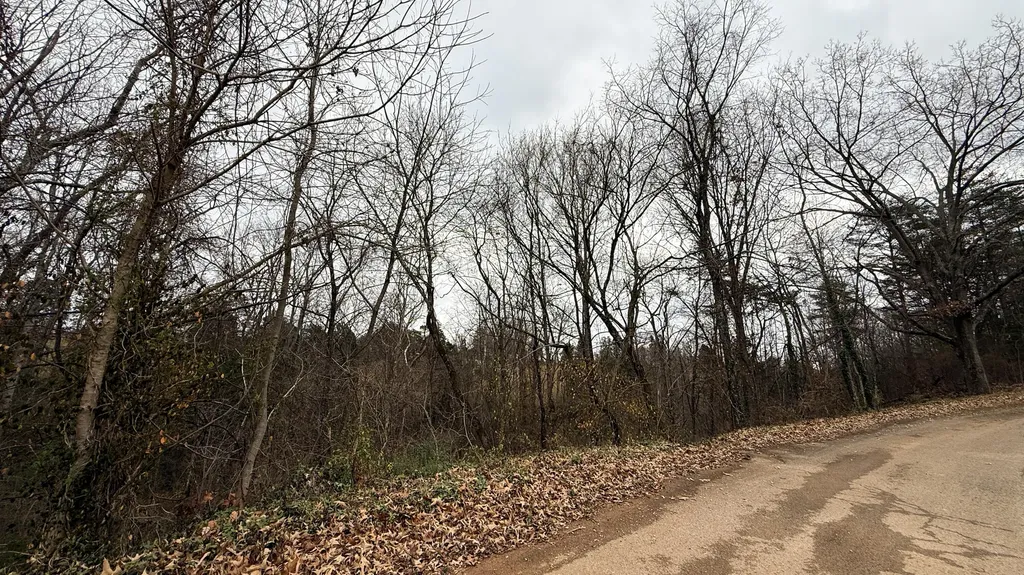 1915 Ky-1247 Somerset KY 42503